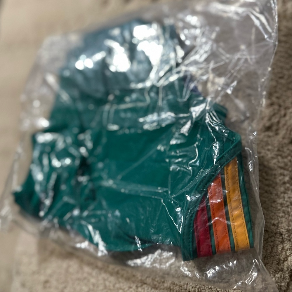 RARE Aviator Nation 5 Stripe Flex Board Shorts Amazon Rainbow NWT Large - Picture 6 of 9
